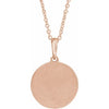 Celestial Dreams Natural Gemstone Coin Pendant Necklace 14K Rose Gold Sideview