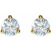 3/4 CTW Lab-Grown Diamond Stud Earrings in 14K Yellow Gold Front Facing 